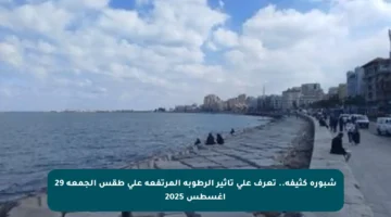 شبورة كثيفة.. تعرف على تأثير الرطوبة المرتفعة على طقس الجمعة 29 أغسطس 2025